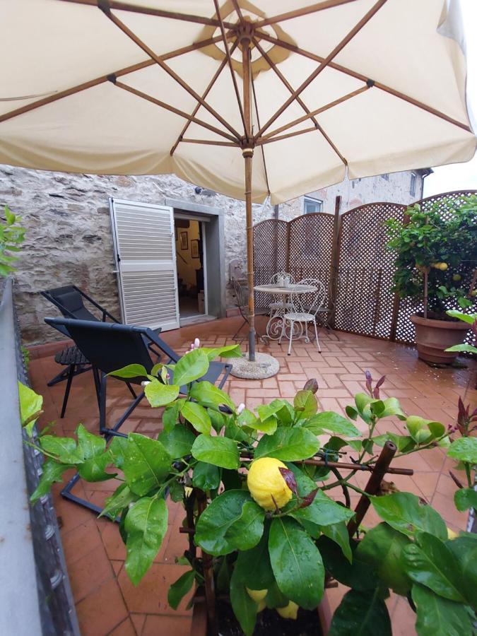 Casina Laura Villa Capannori Exteriör bild